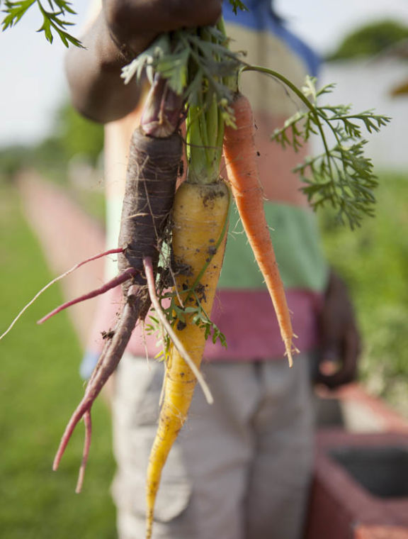Jones Valley Teaching Farm photo 14