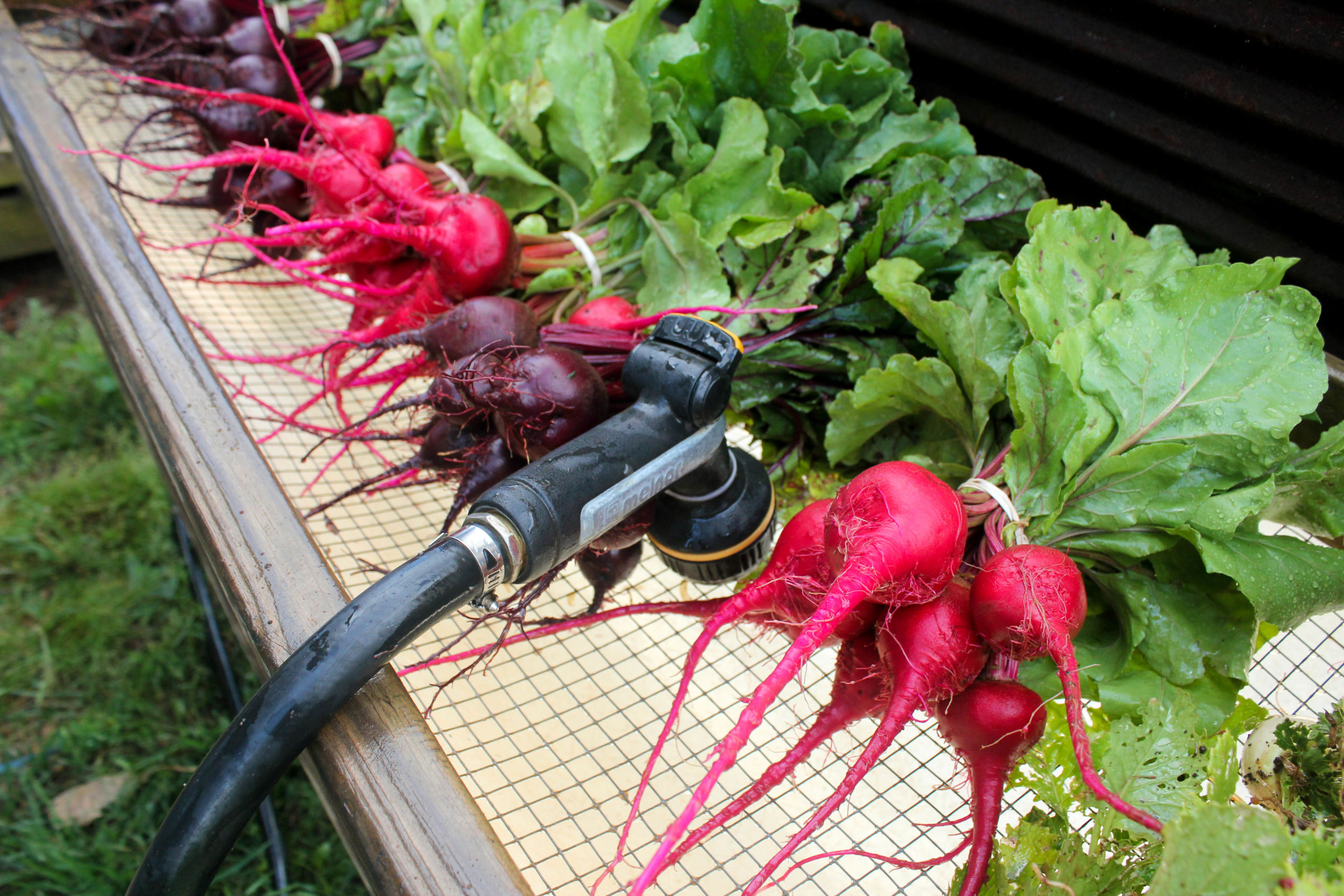 Harvest Hands Jones Valley Teaching Farm