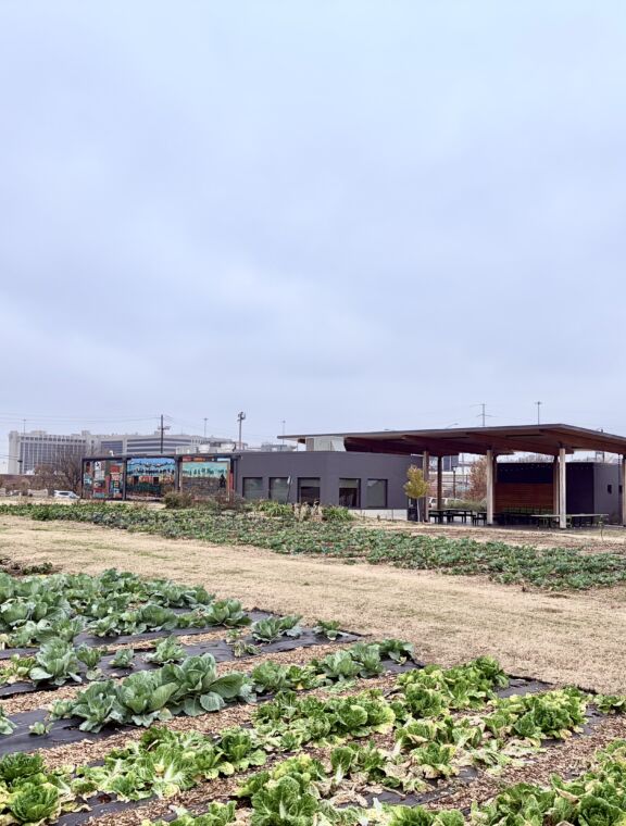 Jones Valley Teaching Farm photo 11